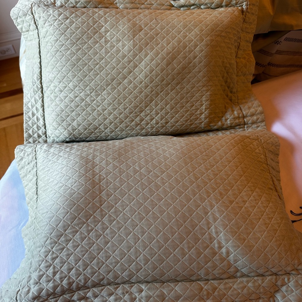 Restoration Hardware Quilted Pillow Shams - Light Green